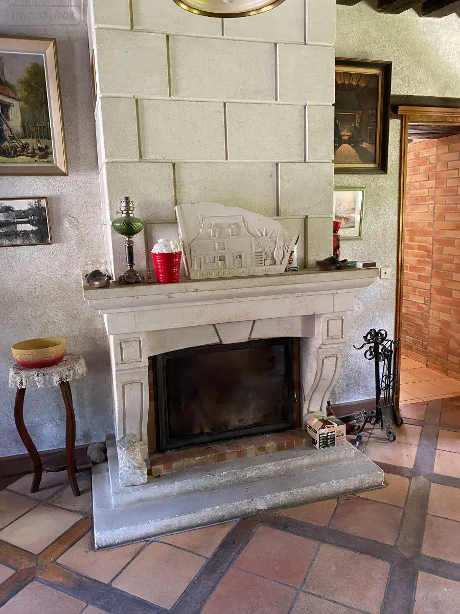 Maison a vendre Châtillon-sur-Indre 36700 Indre 36 190 m2 6 pièces 335000 euros 1052735 007