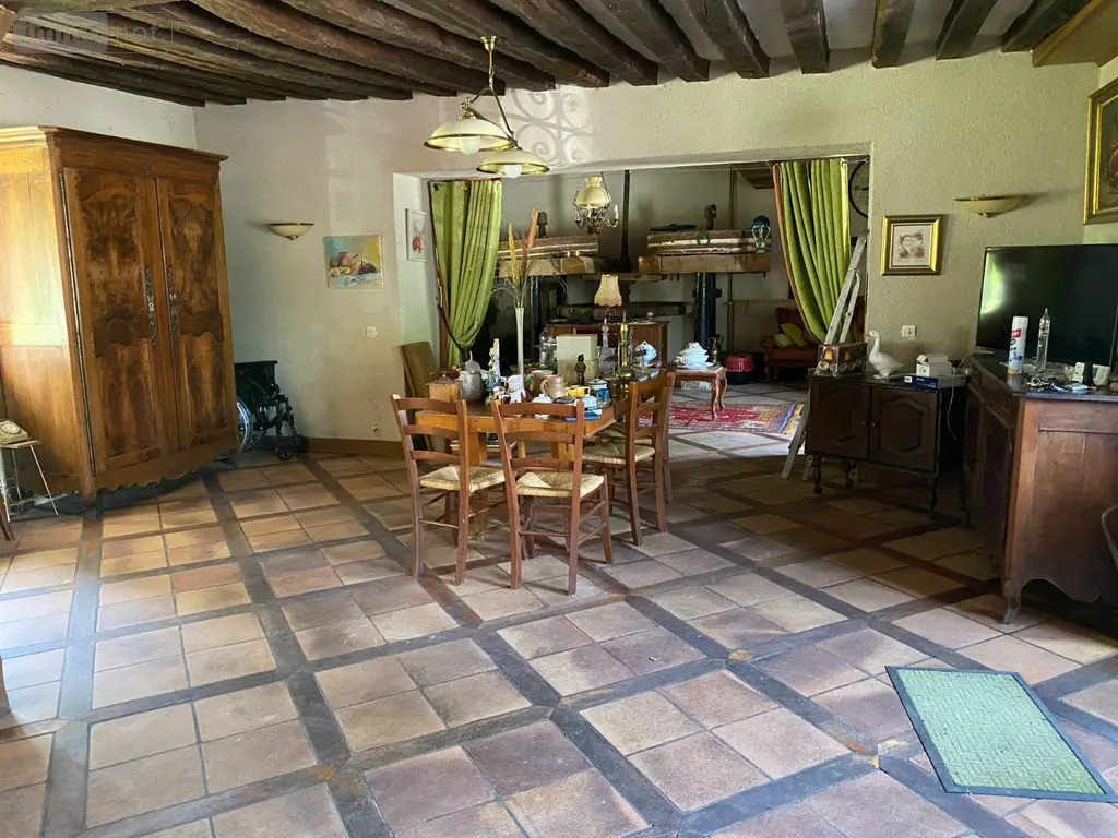 Maison a vendre Châtillon-sur-Indre 36700 Indre 36 190 m2 6 pièces 335000 euros 1052735 008