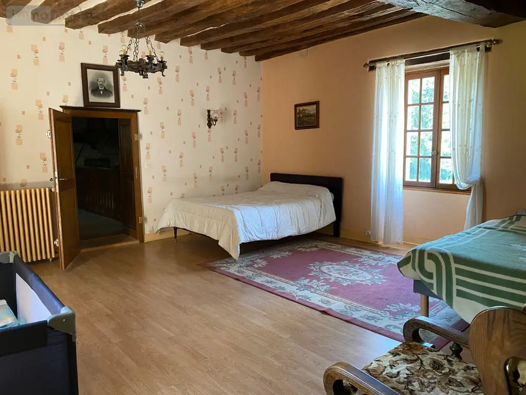 Maison a vendre Châtillon-sur-Indre 36700 Indre 36 190 m2 6 pièces 335000 euros 1052735 010