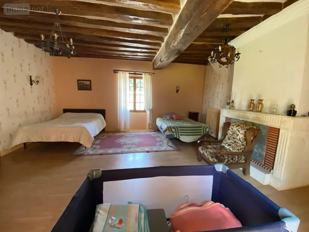 Maison a vendre Châtillon-sur-Indre 36700 Indre 36 190 m2 6 pièces 335000 euros 1052735 011
