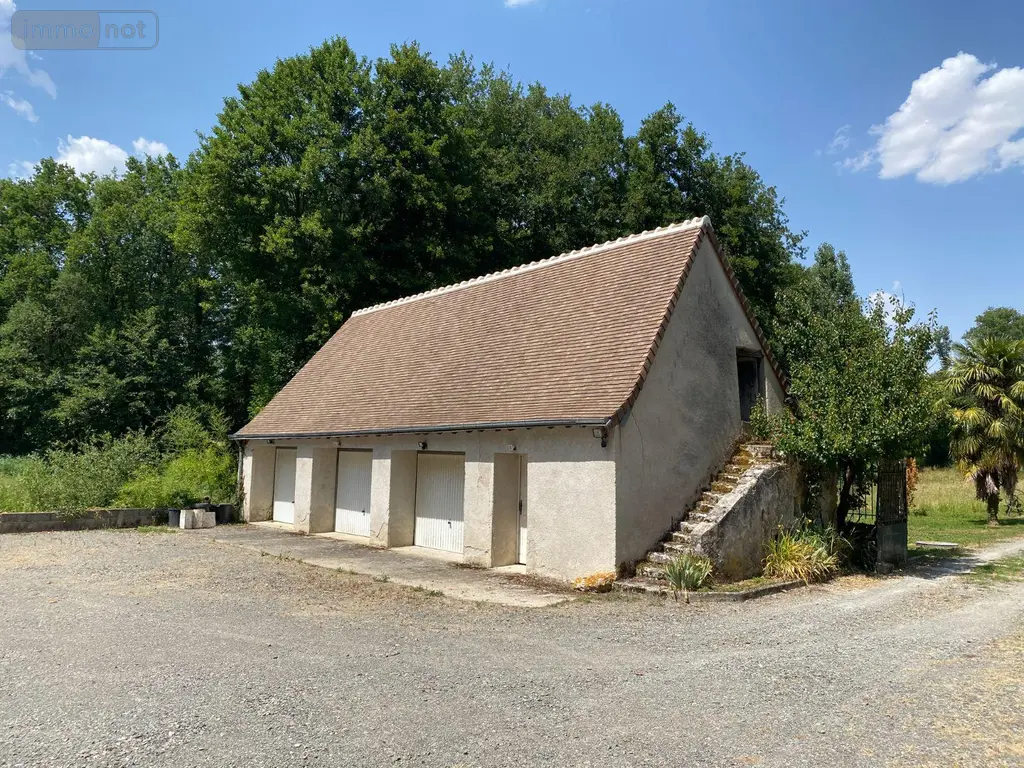 Maison a vendre Châtillon-sur-Indre 36700 Indre 36 190 m2 6 pièces 335000 euros 1052735 002