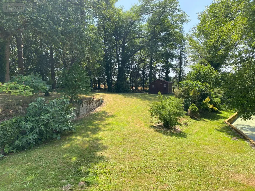 Maison a vendre Châtillon-sur-Indre 36700 Indre 36 190 m2 6 pièces 335000 euros 1052735 003
