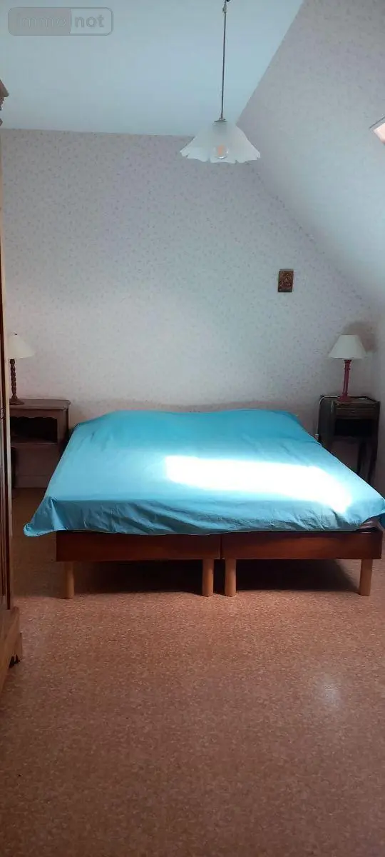 Maison a vendre Primelles 18400 Cher 18 192 m2 9 pièces 272480 euros 11813/1539 008