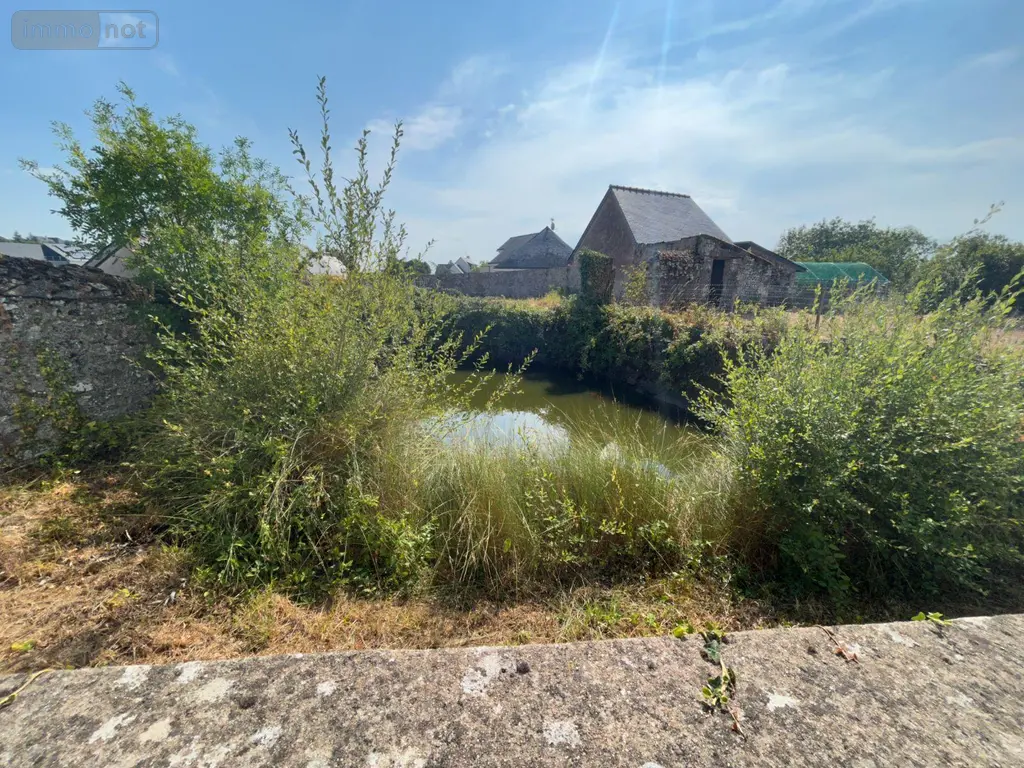 Maison a vendre Montjean-sur-Loire 49570 Maine-et-Loire 49 138 m2 344175 euros 12516/1331 005
