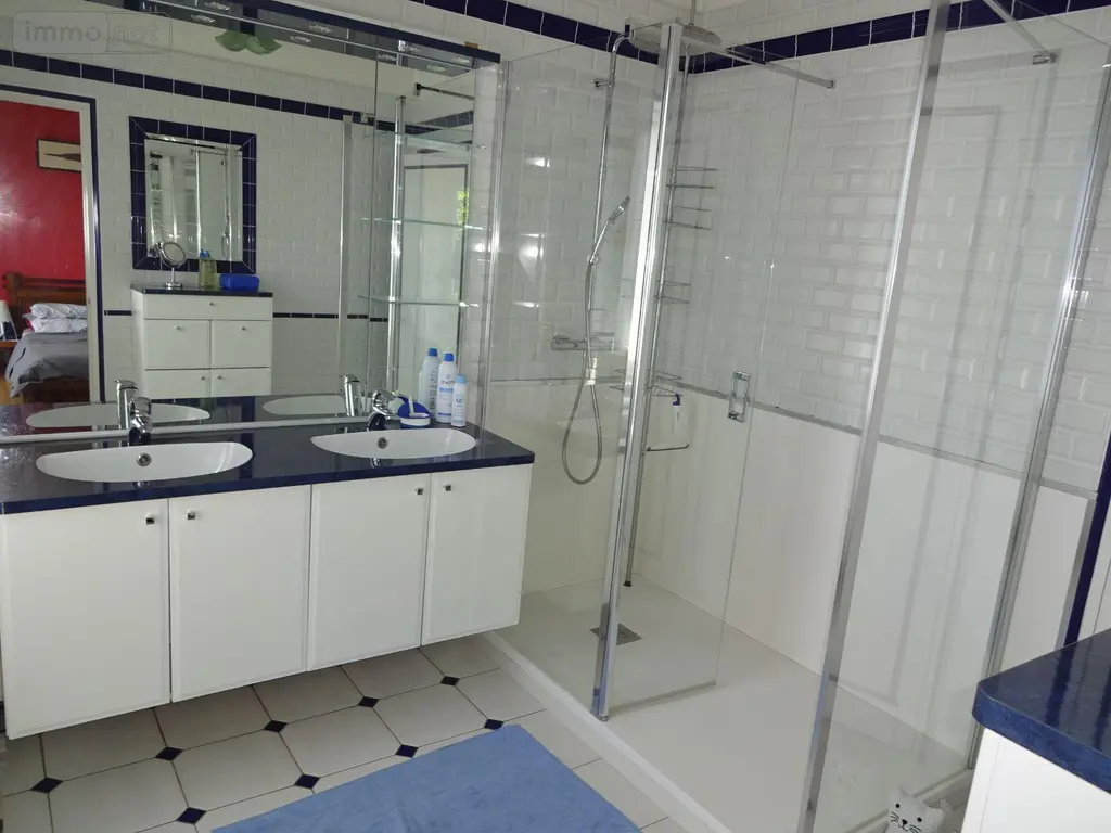 Maison a vendre Fougères 35300 Ille-et-Vilaine 35 267 m2 8 pièces 471600 euros 036/821 009