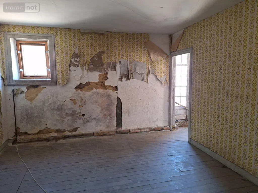 Immeuble de rapport a vendre Chailland 53420 Mayenne 53 350 m2 136500 euros 53077-39 011