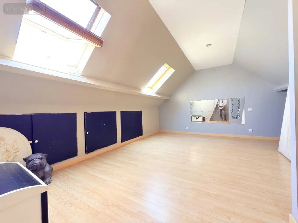 Maison a vendre Hazebrouck 59190 Nord 59 124 m2 7 pièces 224000 euros 353 006