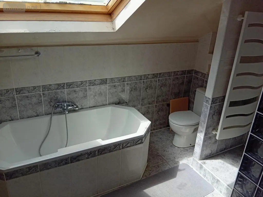 Maison a vendre Beaugency 45190 Loiret 45 115 m2 4 pièces 315000 euros 091/1530 025