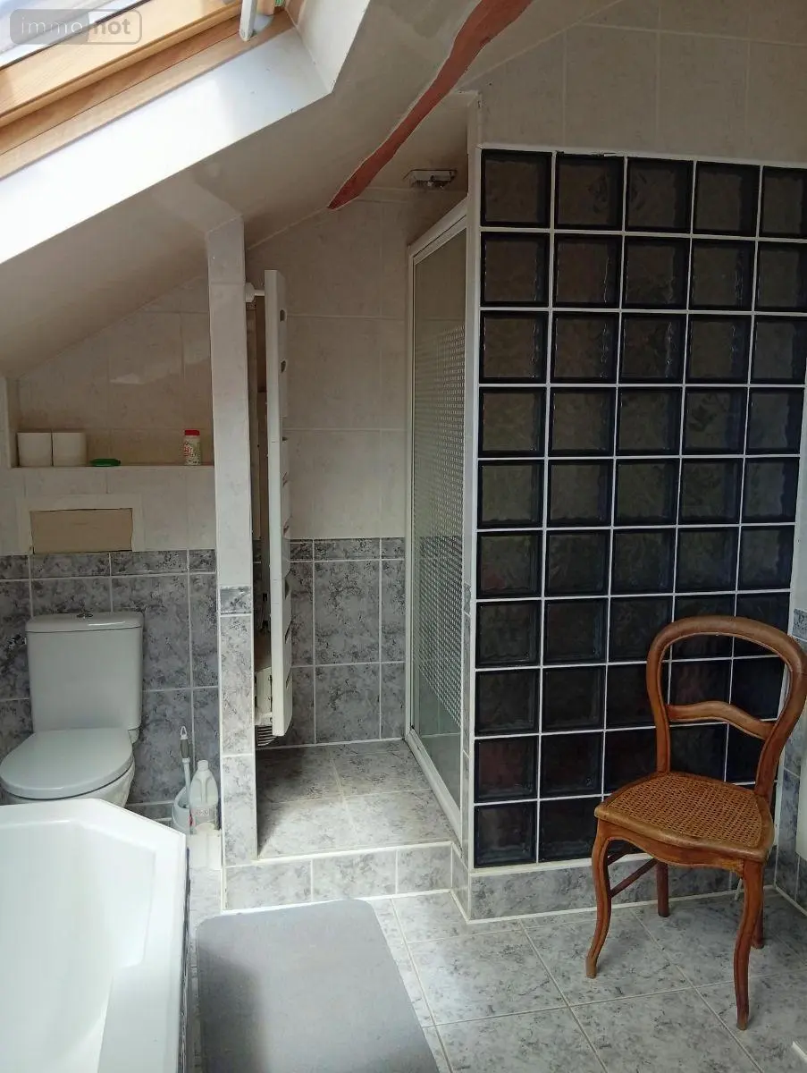 Maison a vendre Beaugency 45190 Loiret 45 115 m2 4 pièces 315000 euros 091/1530 026