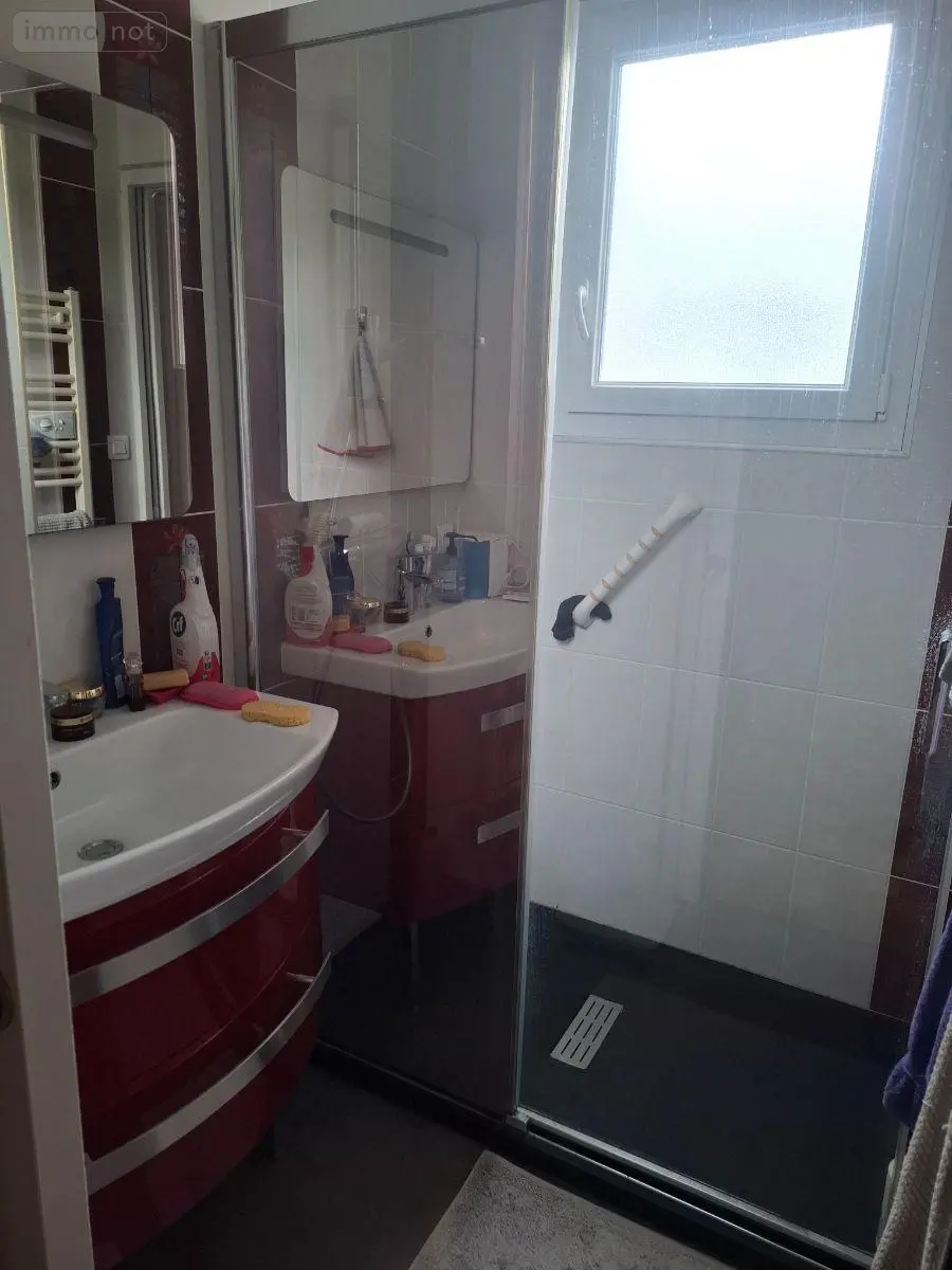 Viager maison Vierzon 18100 Cher 18 75 m2 3 pièces 60000 euros 18016/2204 009