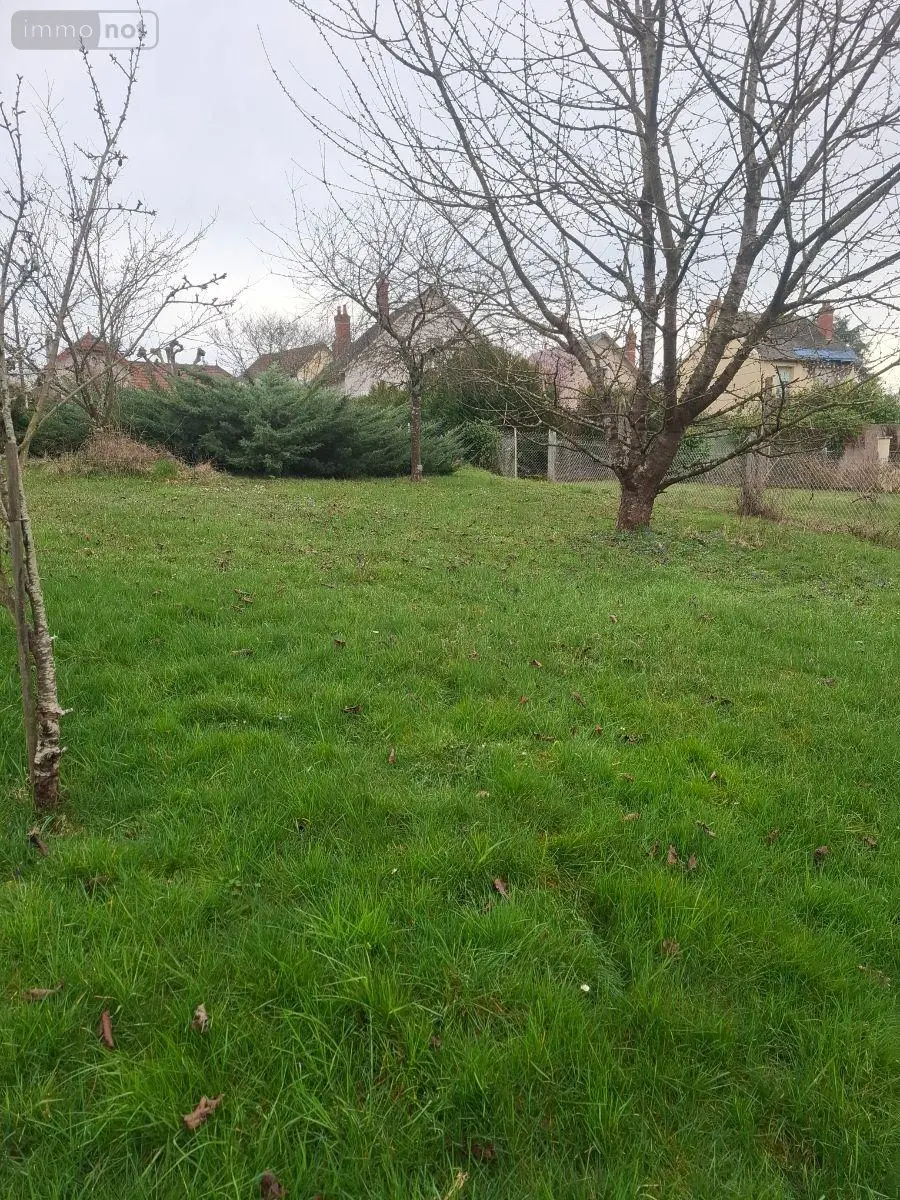 Viager maison Vierzon 18100 Cher 18 75 m2 3 pièces 60000 euros 18016/2204 003