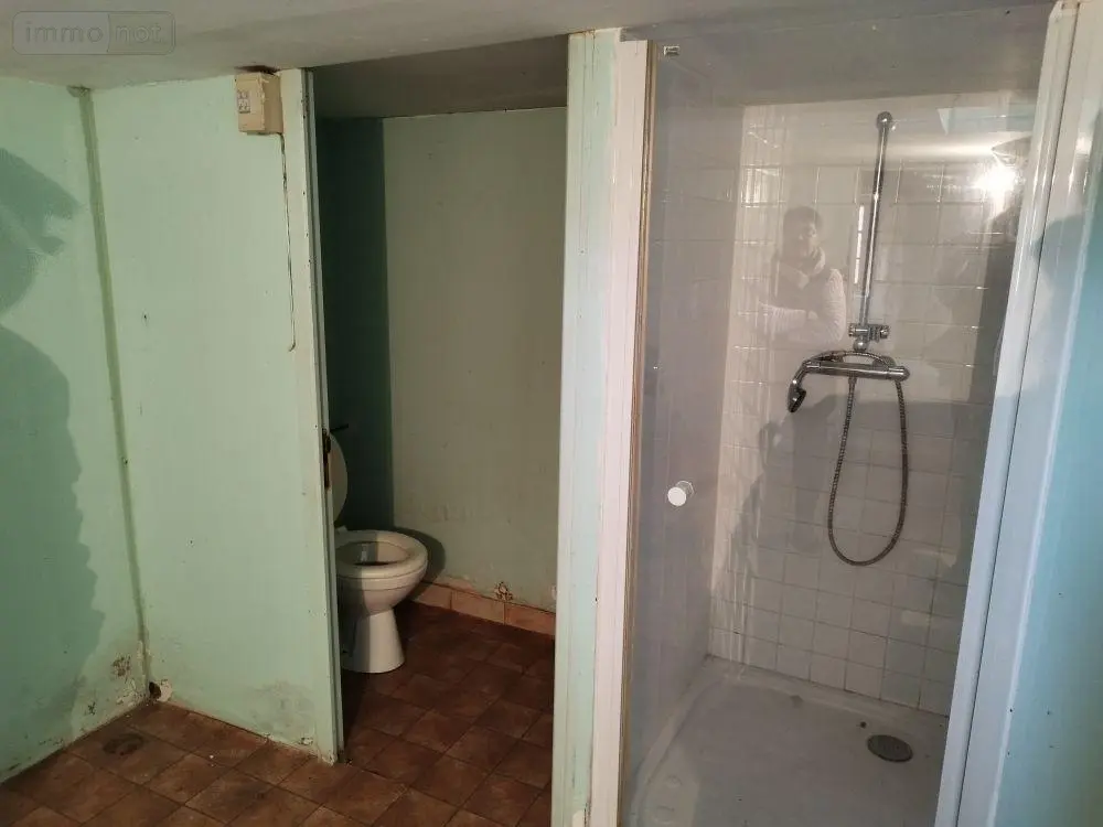 Maison a vendre La Berthenoux 36400 Indre 36 70 m2 3 pièces 69000 euros 2479 008