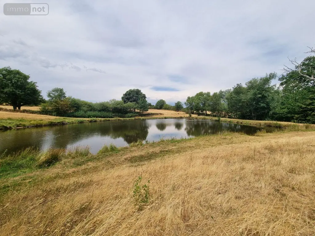 Propriete a vendre Montaiguët-en-Forez 03130 Allier 03 302 m2 8 pièces 550000 euros 20371 003