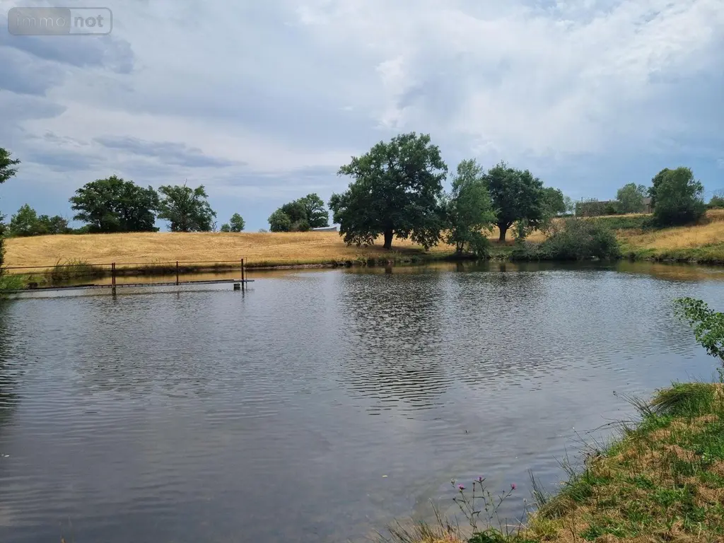 Propriete a vendre Montaiguët-en-Forez 03130 Allier 03 302 m2 8 pièces 550000 euros 20371 002