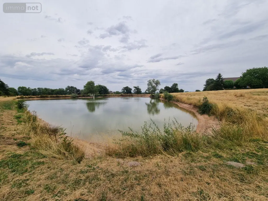 Propriete a vendre Montaiguët-en-Forez 03130 Allier 03 302 m2 8 pièces 550000 euros 20371 004