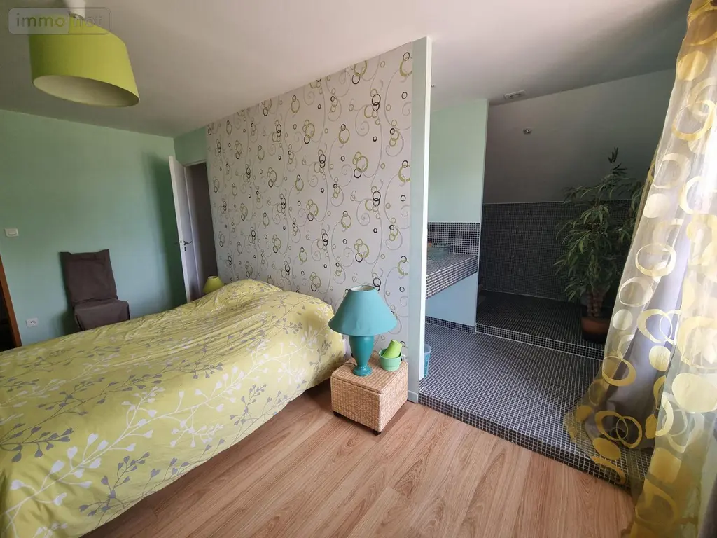 Propriete a vendre Montaiguët-en-Forez 03130 Allier 03 302 m2 8 pièces 550000 euros 20371 018