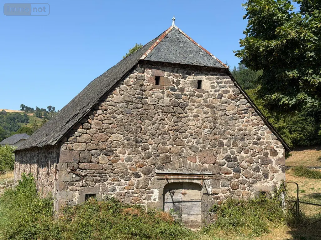 Divers a vendre Saint-Martin-Valmeroux 15140 Cantal 15 84800 euros 15060/1286 002
