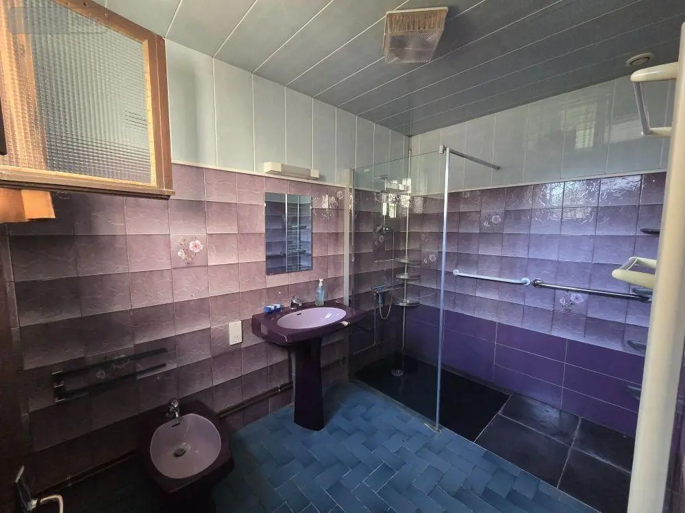 Maison a vendre Bourguignons 10110 Aube 10 142 m2 5 pièces 110000 euros 10063/1293 004