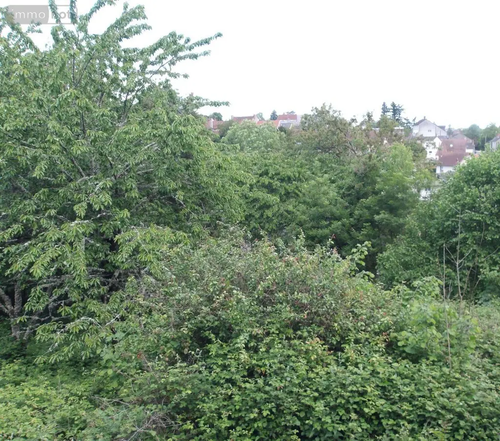 Maison a vendre Saint-Silvain-Bas-le-Roc 23600 Creuse 23 70 m2 5 pièces 64680 euros 23010-113800 016