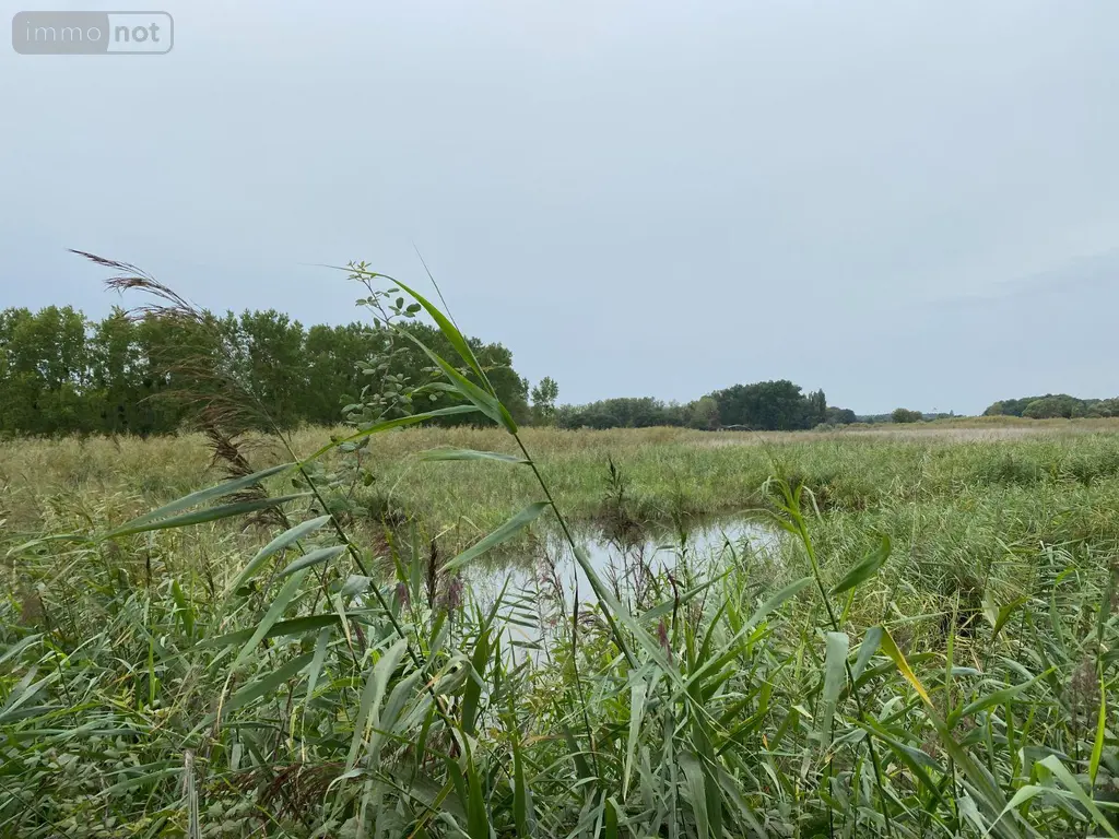 Bien agricole a vendre Martizay 36220 Indre 36 1580600 euros 1047984ALF 003