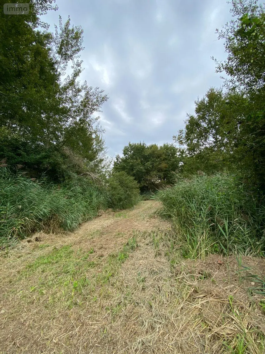 Bien agricole a vendre Martizay 36220 Indre 36 1580600 euros 1047984ALF 006