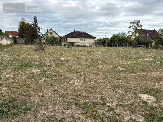 Terrain a batir a vendre Vaudes 10260 Aube 10 94950 euros 10063/1296 009
