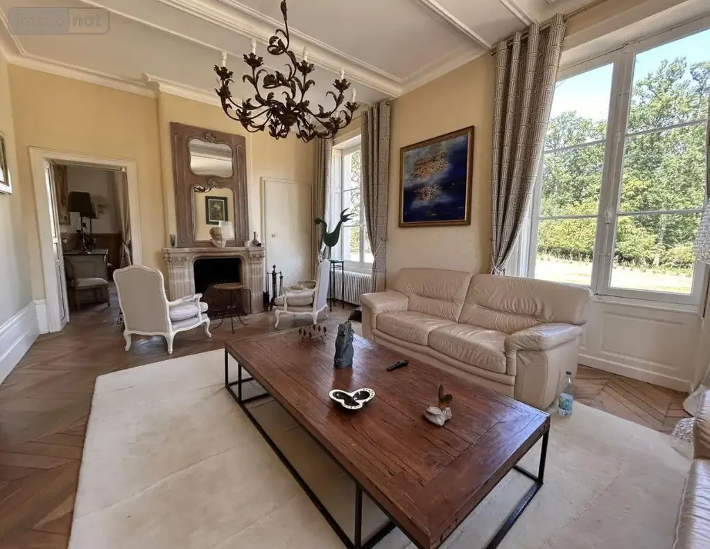 Propriete a vendre Genillé 37460 Indre-et-Loire 37 323 m2 11 pièces 1600000 euros 12101/1358 006