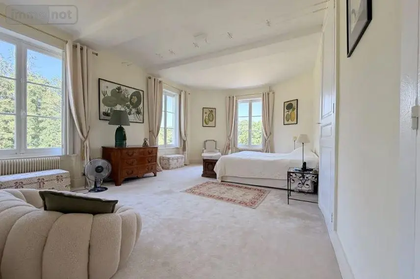 Propriete a vendre Genillé 37460 Indre-et-Loire 37 323 m2 11 pièces 1600000 euros 12101/1358 009
