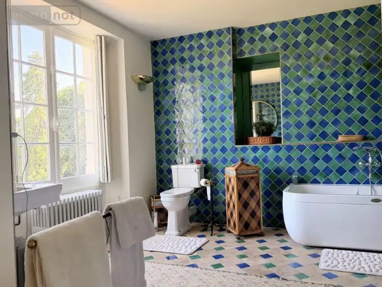 Propriete a vendre Genillé 37460 Indre-et-Loire 37 323 m2 11 pièces 1600000 euros 12101/1358 010
