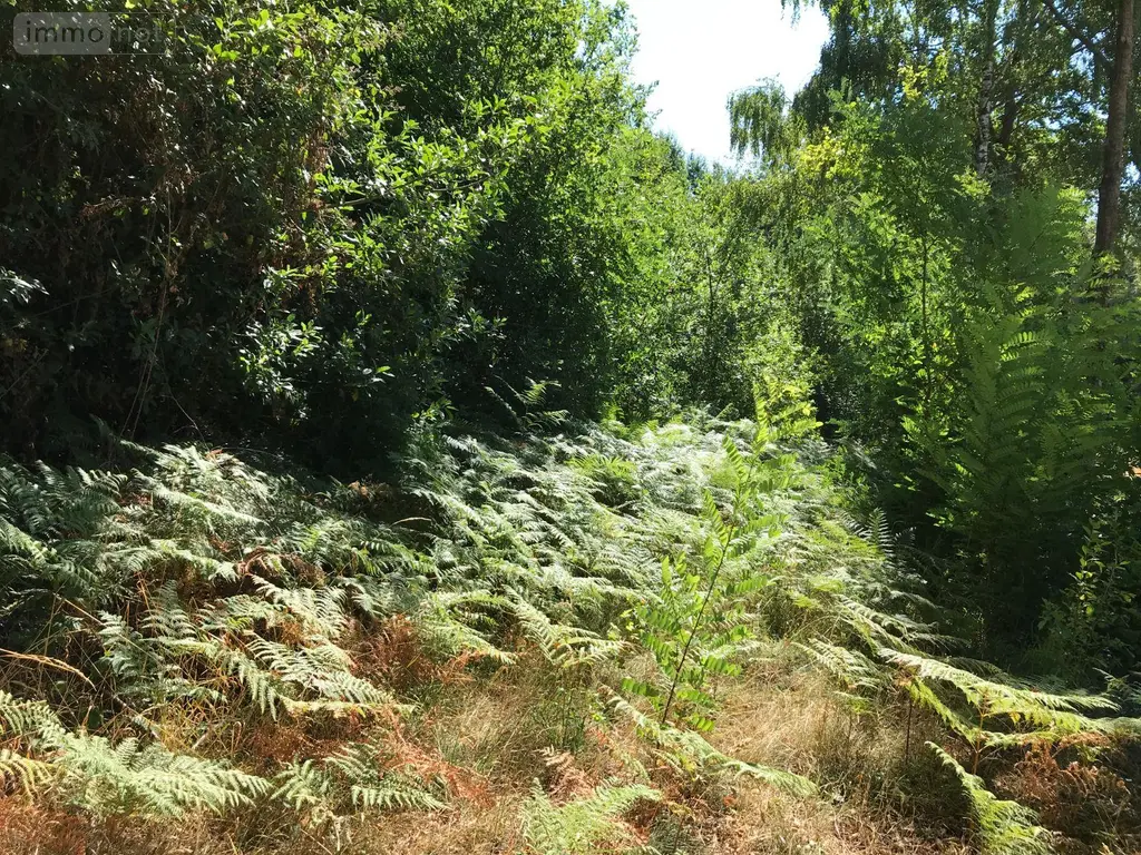 Terrains de loisirs bois etangs a vendre Bonnétable 72110 Sarthe 72 6200 euros 079/2044 002