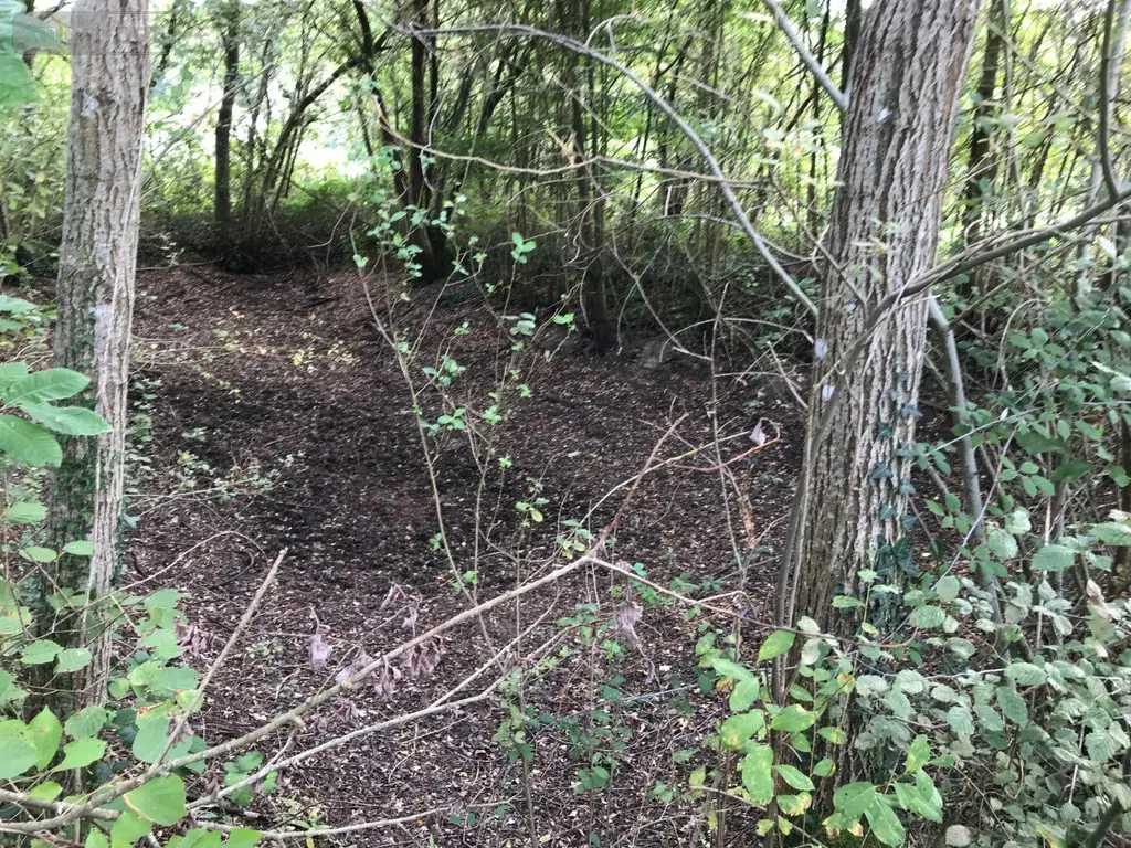 Terrains de loisirs bois etangs a vendre Bonnétable 72110 Sarthe 72 6200 euros 079/2044 007