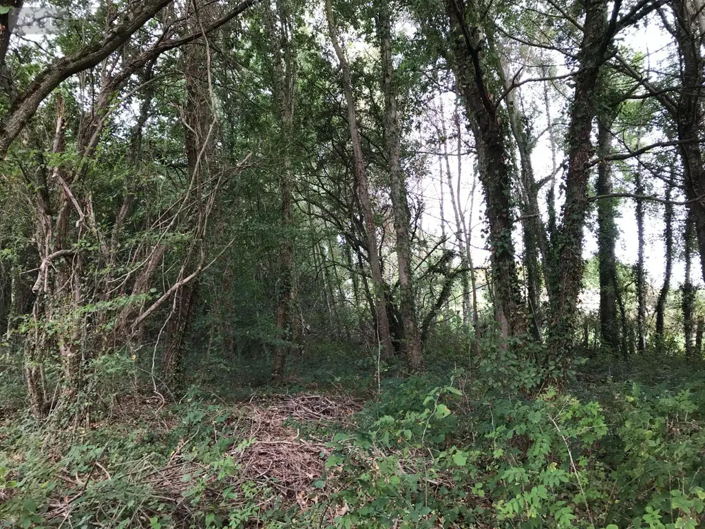 Terrains de loisirs bois etangs a vendre Bonnétable 72110 Sarthe 72 6200 euros 079/2044 006