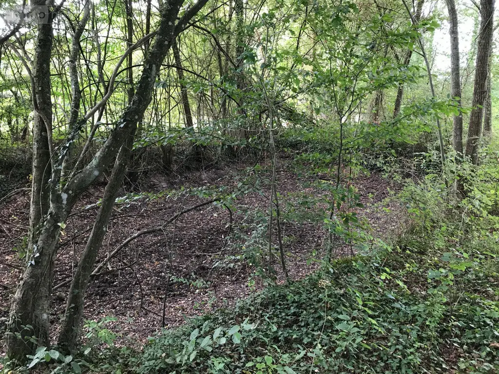 Terrains de loisirs bois etangs a vendre Bonnétable 72110 Sarthe 72 6200 euros 079/2044 008