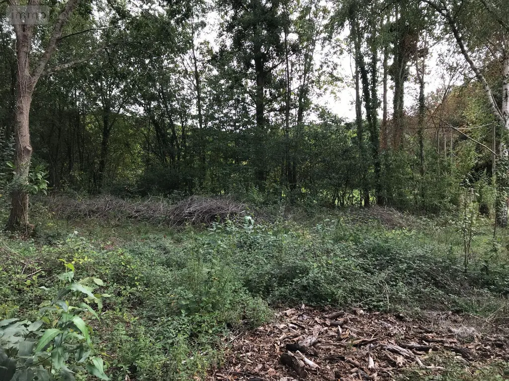 Terrains de loisirs bois etangs a vendre Bonnétable 72110 Sarthe 72 6200 euros 079/2044 004