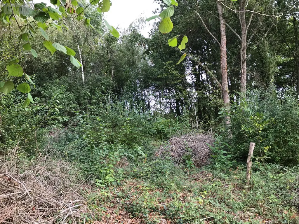 Terrains de loisirs bois etangs a vendre Bonnétable 72110 Sarthe 72 6200 euros 079/2044 005