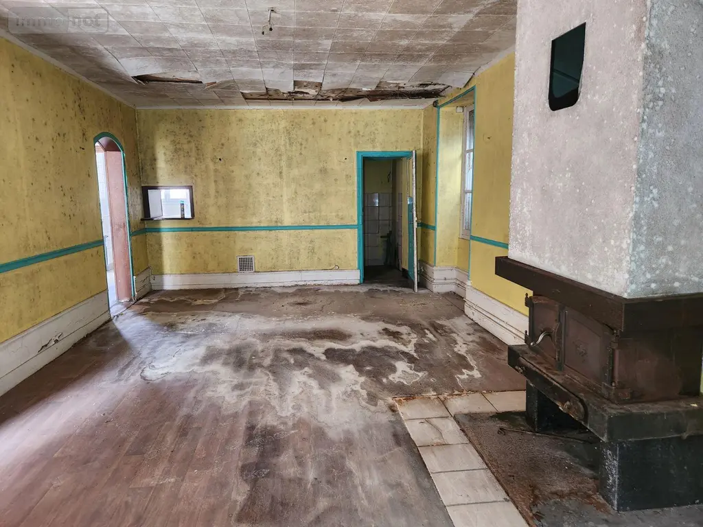 Maison a vendre Bar-sur-Aube 10200 Aube 10 122 m2 4 pièces 20000 euros 10379/669 005