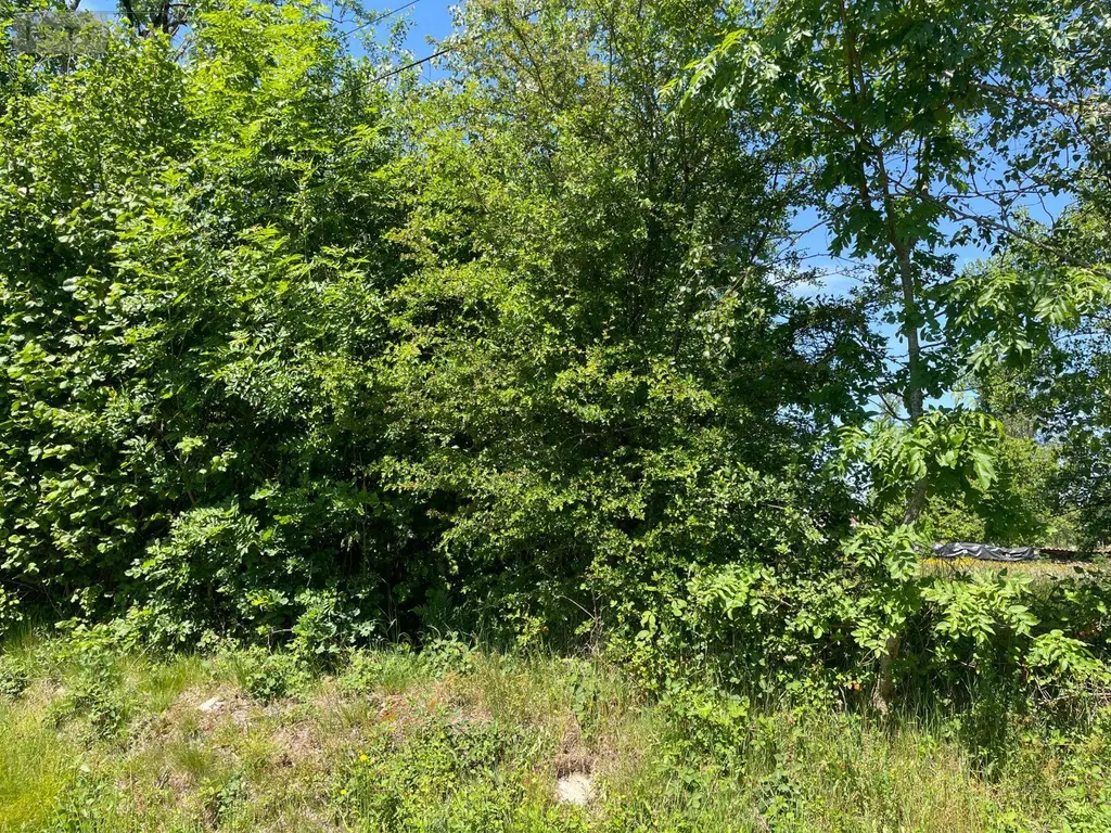 Terrain a batir a vendre La Chapelle-aux-Bois 88240 Vosges 88 800 m2 15000 euros 88014/80 002