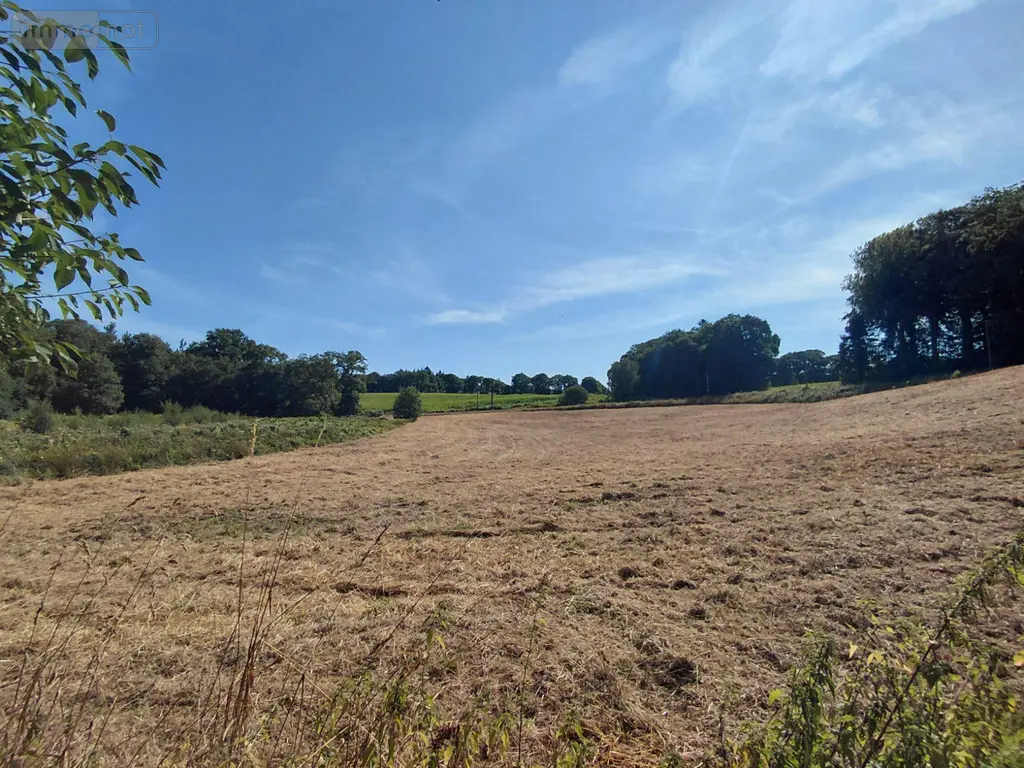 Bien agricole a vendre Malguénac 56300 Morbihan 56 7500 euros 063-526 002