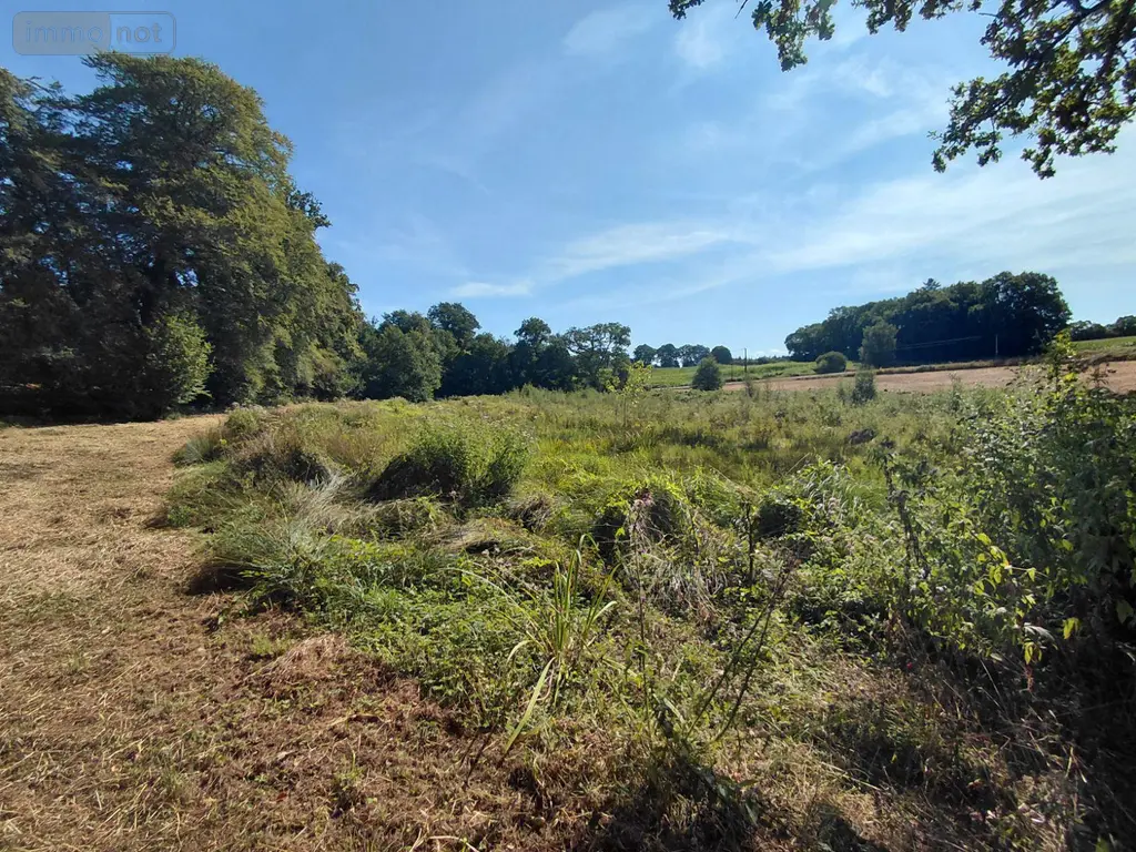 Bien agricole a vendre Malguénac 56300 Morbihan 56 7500 euros 063-526 005