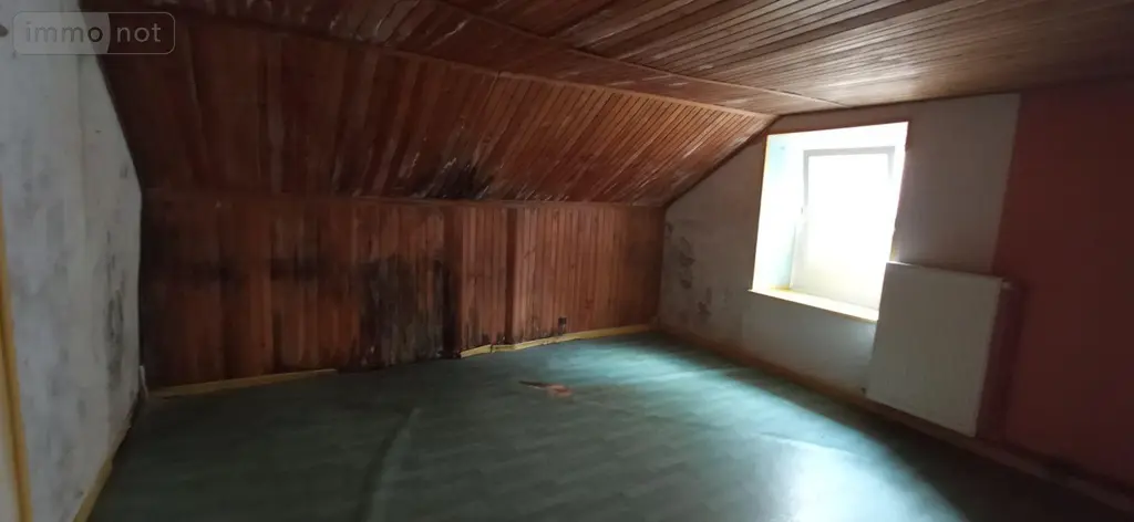 Maison a vendre Nogent 52800 Haute-Marne 52 82 m2 4 pièces 33000 euros 52020-74 016