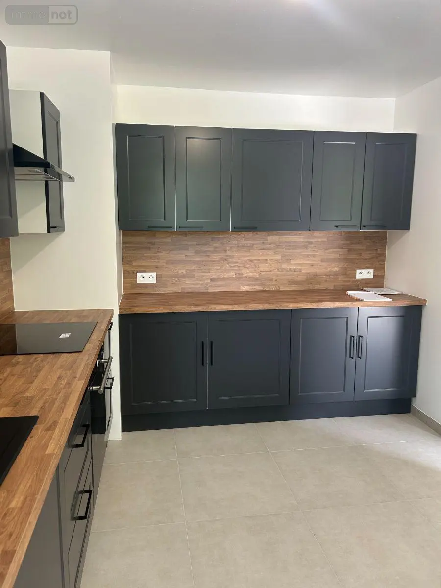 Location maison Merrey-sur-Arce 10110 Aube 10 88 m2 5 pièces 900 euros 10063/1300 002