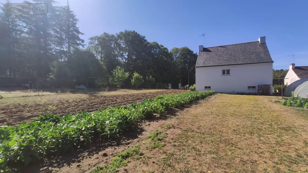 Terrain a batir a vendre Quistinic 56310 Morbihan 56 500 m2 38000 euros 065/1887 004