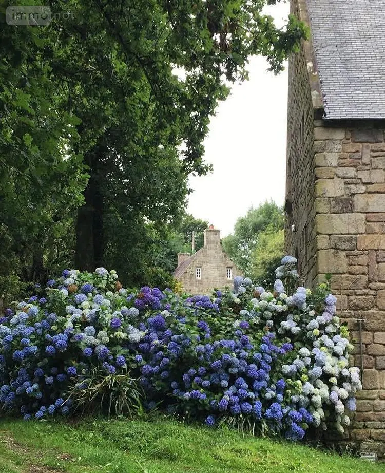 Propriete a vendre Locronan 29180 Finistère 29 163 m2 8 pièces 377280 euros 3303-30 015