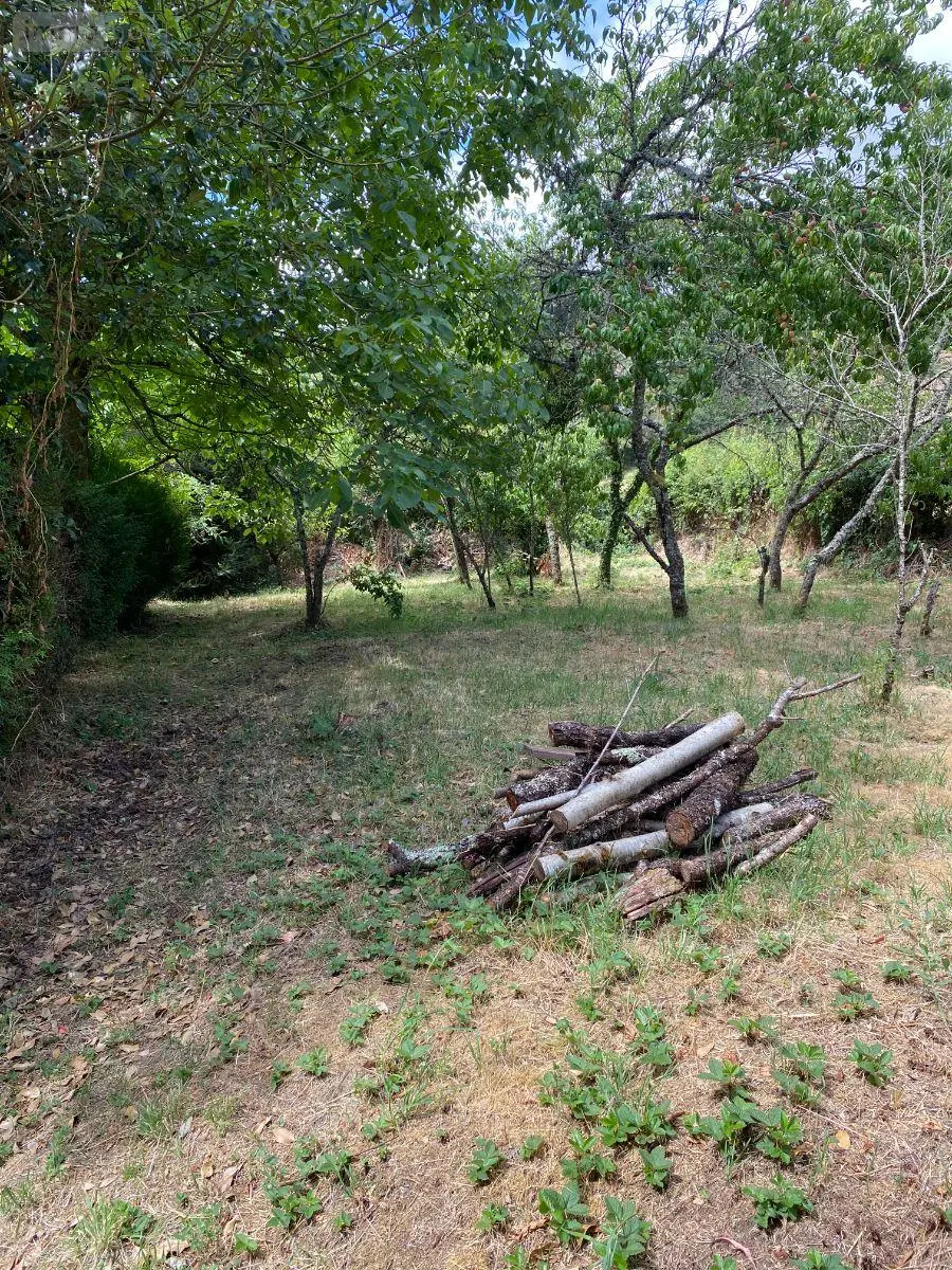 Maison a vendre Saint-Sernin-du-Bois 71200 Saône-et-Loire 71 48 m2 27400 euros 13744/336 010