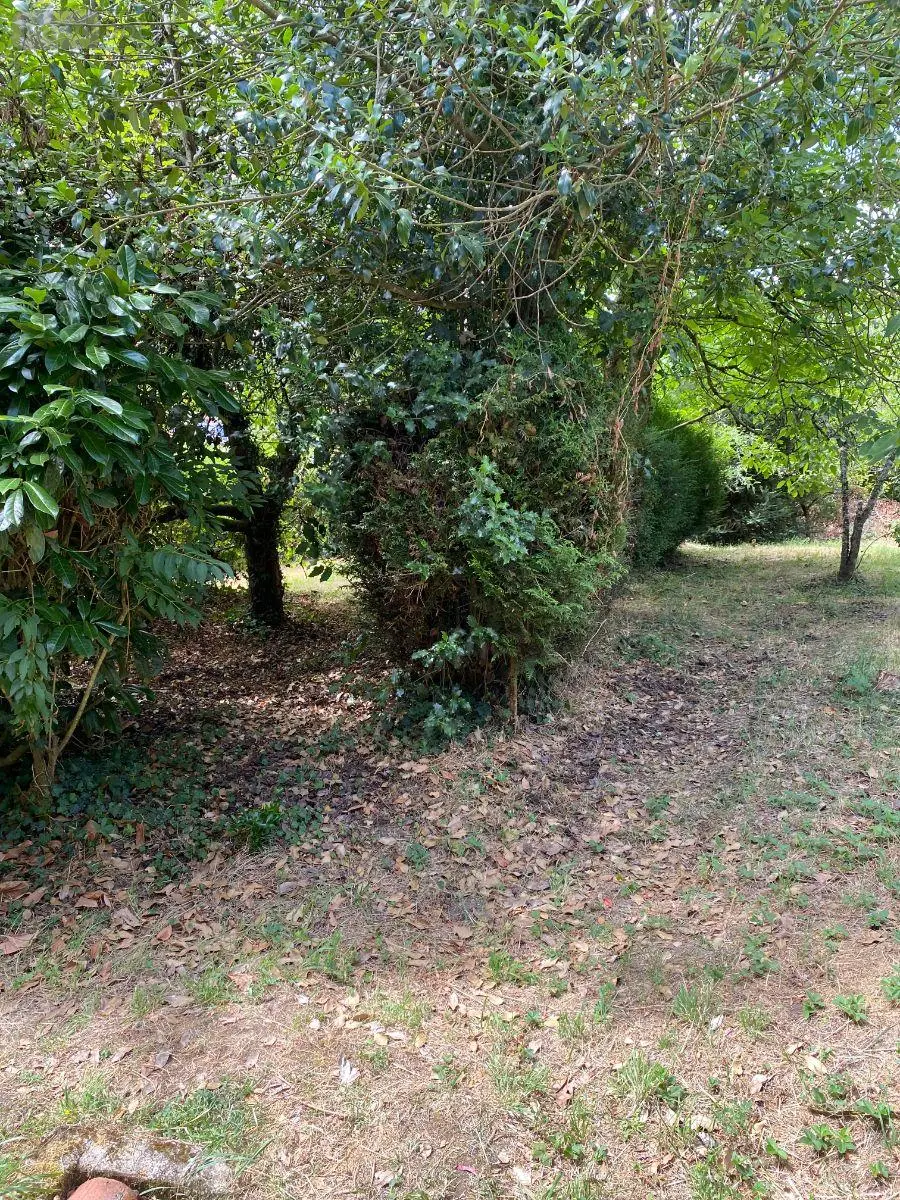 Maison a vendre Saint-Sernin-du-Bois 71200 Saône-et-Loire 71 48 m2 27400 euros 13744/336 011