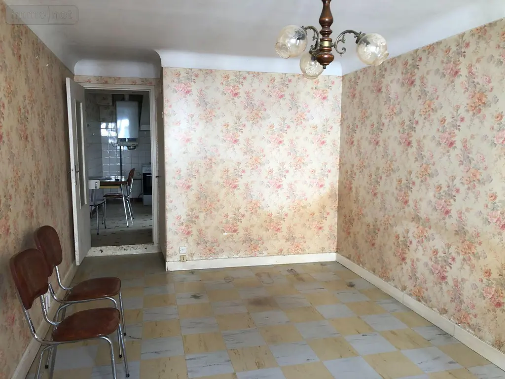 Maison a vendre Issoudun 36100 Indre 36 58 m2 4 pièces 43000 euros 11813/1544 003