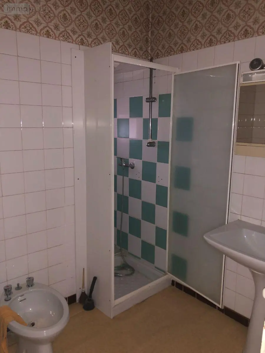 Maison a vendre Issoudun 36100 Indre 36 58 m2 4 pièces 43000 euros 11813/1544 010