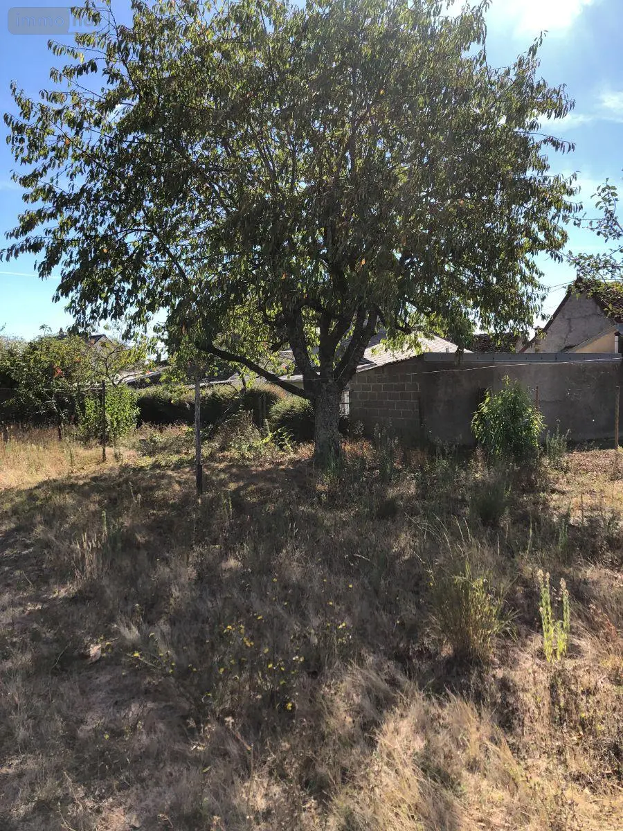 Maison a vendre Reuilly 36260 Indre 36 60 m2 3 pièces 45000 euros 11813/1545 018