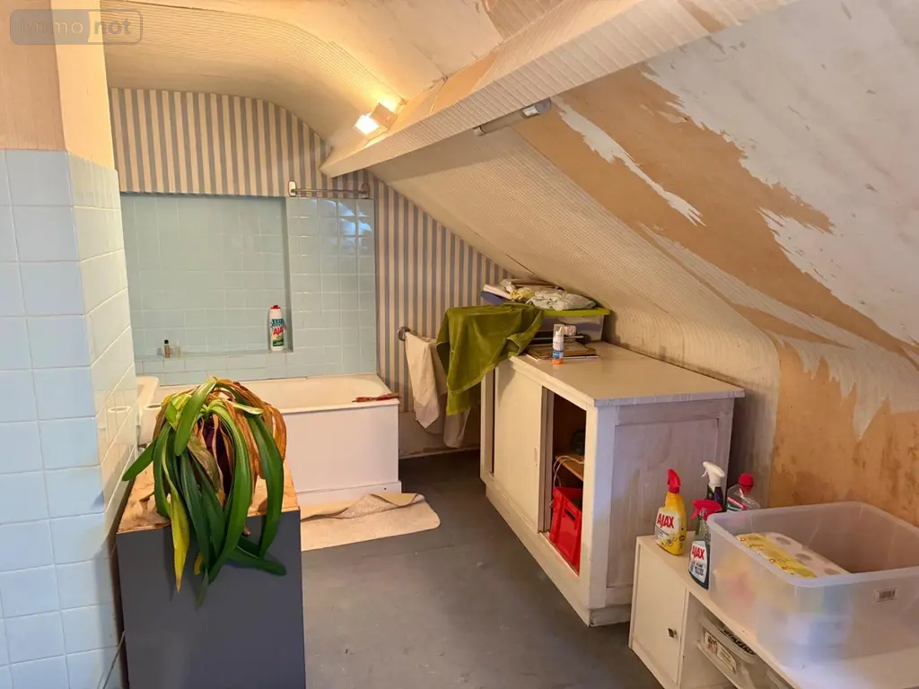 Maison a vendre Sainte-Savine 10300 Aube 10 223 m2 11 pièces 290000 euros 10010/481 013