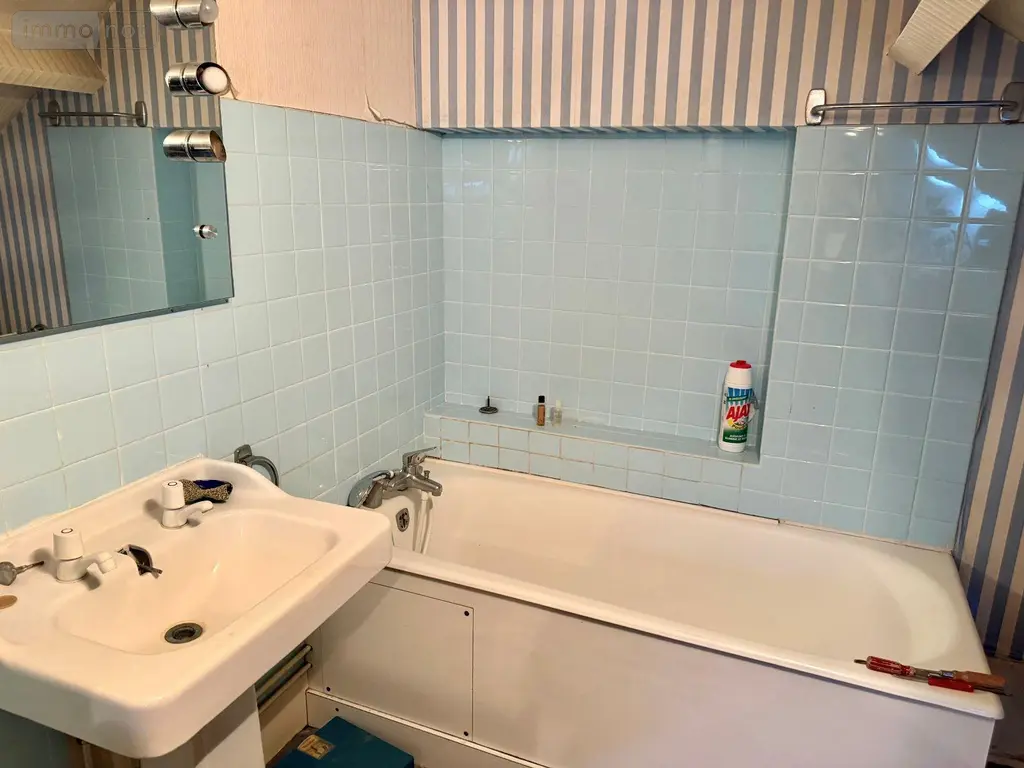 Maison a vendre Sainte-Savine 10300 Aube 10 223 m2 11 pièces 290000 euros 10010/481 014